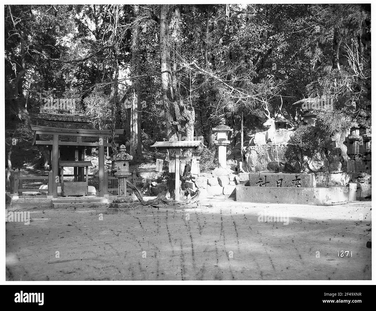 Nara. Lanternes saintes dans un petit sanctuaire avec Torii à côté de la sculpture d'un cerf sacré dans le parc Nara Banque D'Images