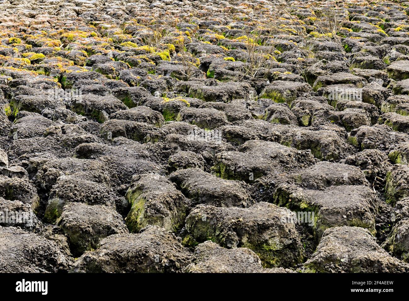 Formations de Dry Lake Banque D'Images