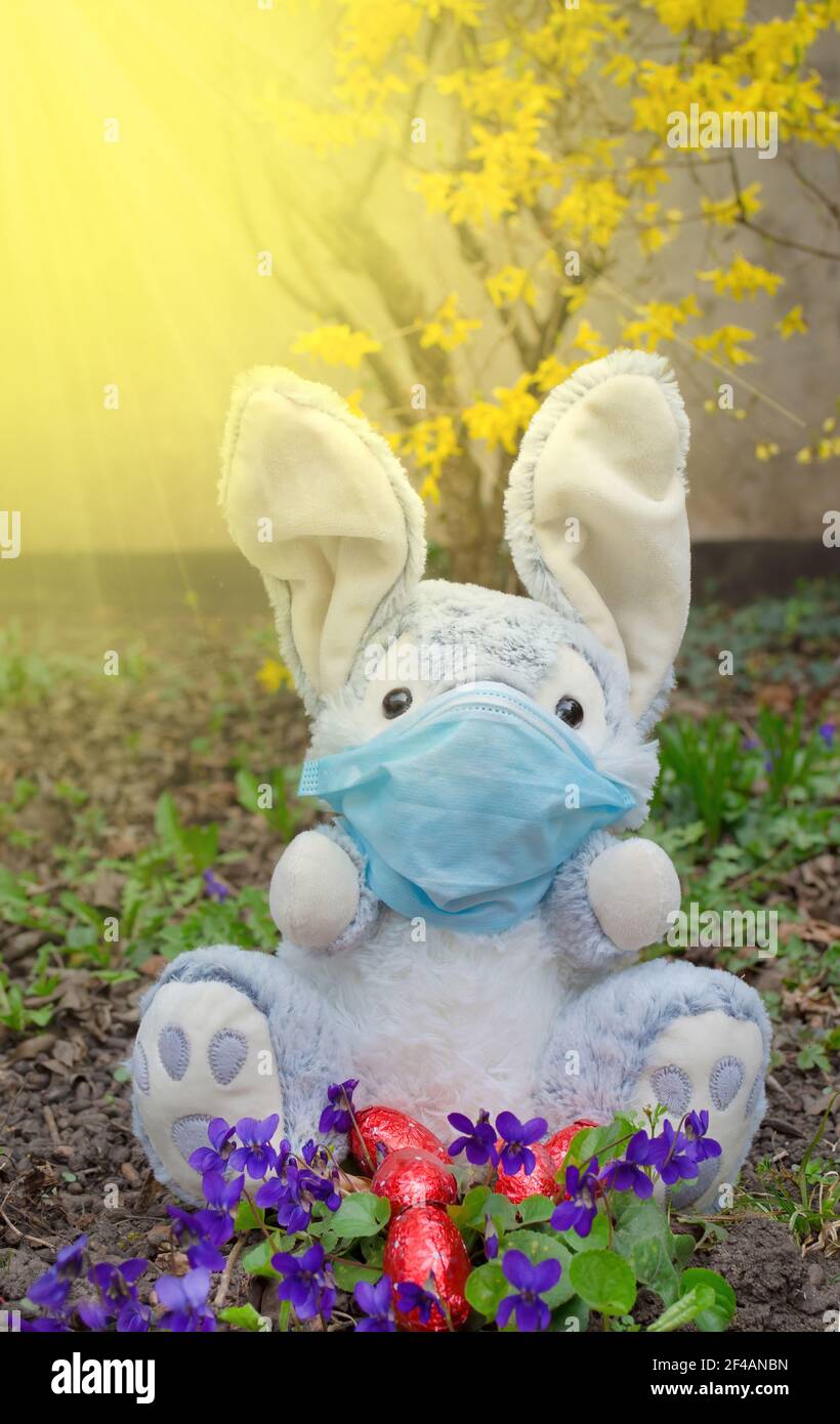 Masque De Lapin De Paques Banque D Image Et Photos Alamy Masque De Lapin De Paques Banque D Image Et Photos Alamy