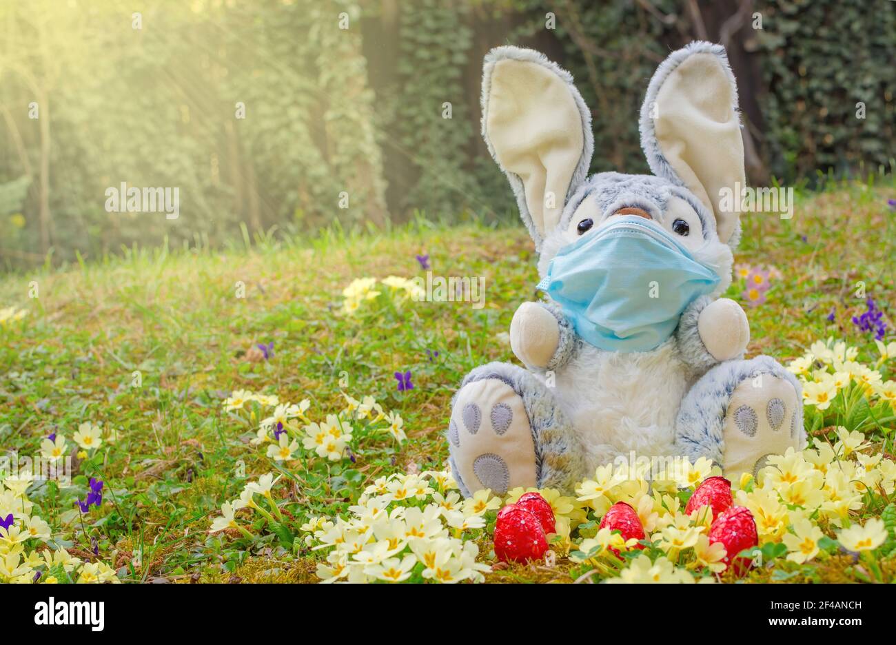 Masque De Lapin De Paques Banque D Image Et Photos Alamy Masque De Lapin De Paques Banque D Image Et Photos Alamy