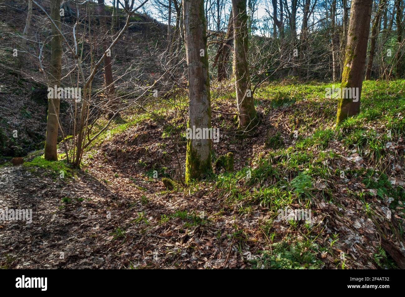 Il creuse les vieilles mines de charbon par un ruisseau à Ecclesall Woods à Sheffield. Banque D'Images