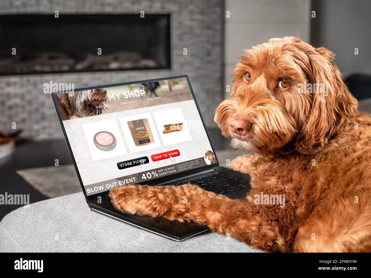 Labradoodle chien commande en ligne par Internet pour la livraison à domicile. Des pattes sur un ordinateur portable avec une sélection de produits alimentaires. Concept pour animaux utilisant technolog Banque D'Images