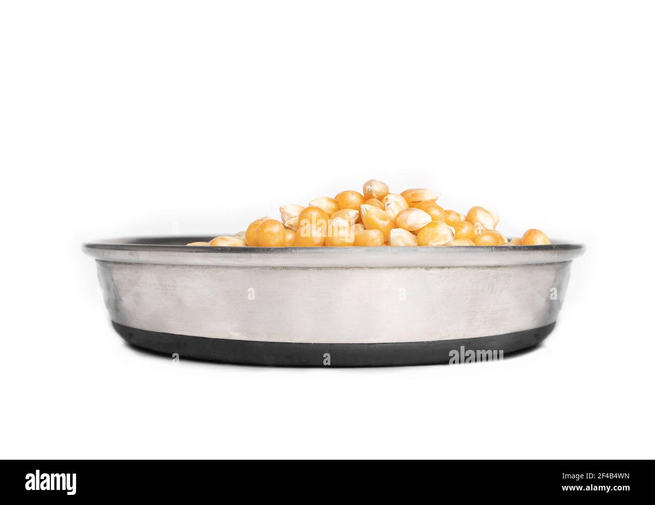 Repas de gluten de maïs Banque