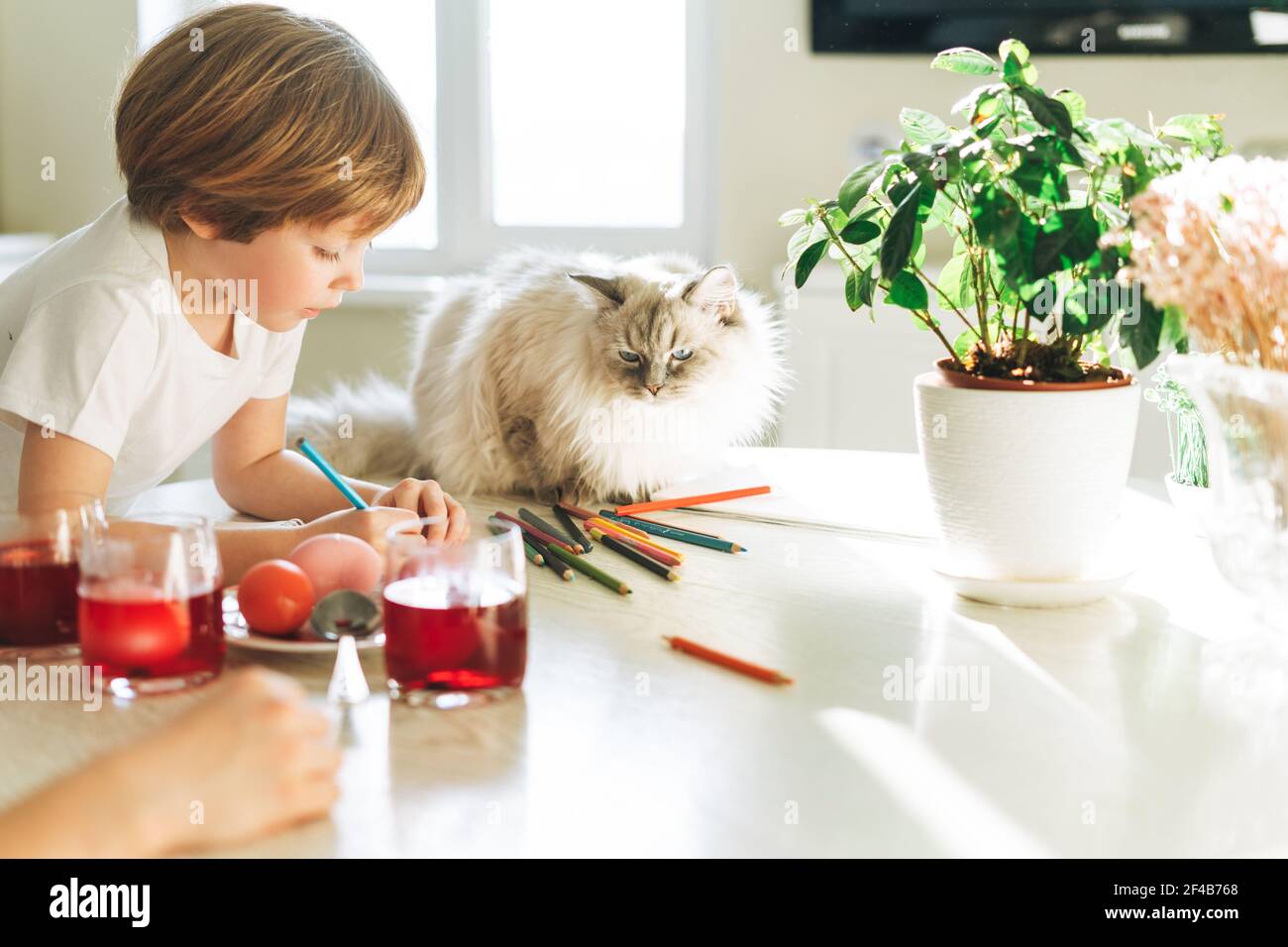 Un tout-petit garçon qui décorait des œufs de pâques avec un chat moelleux cuisine à la maison le jour ensoleillé du printemps Banque D'Images