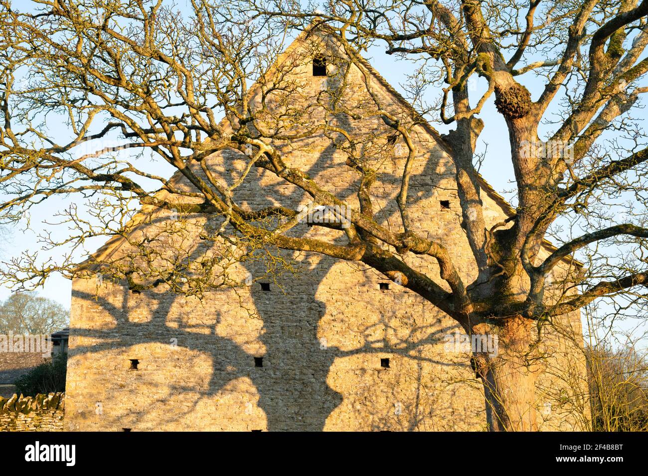 Lever de soleil sur un arbre d'hiver devant une grange. Minster Lovell, Oxfordshire, Angleterre Banque D'Images