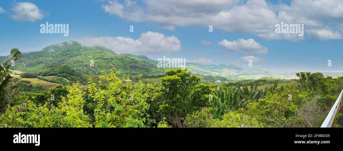 panorama du champ vert et ciel bleu nuageux. Banque D'Images