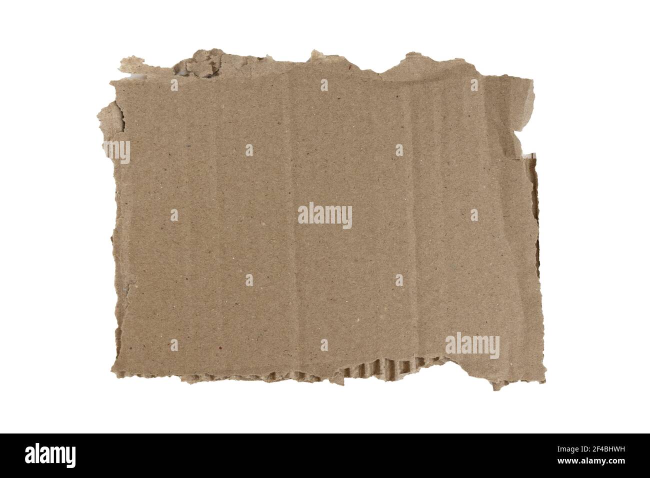 Morceau de carton déchiré isolé sur fond blanc. Carton avec bords déchirés, vue de dessus. Banque D'Images
