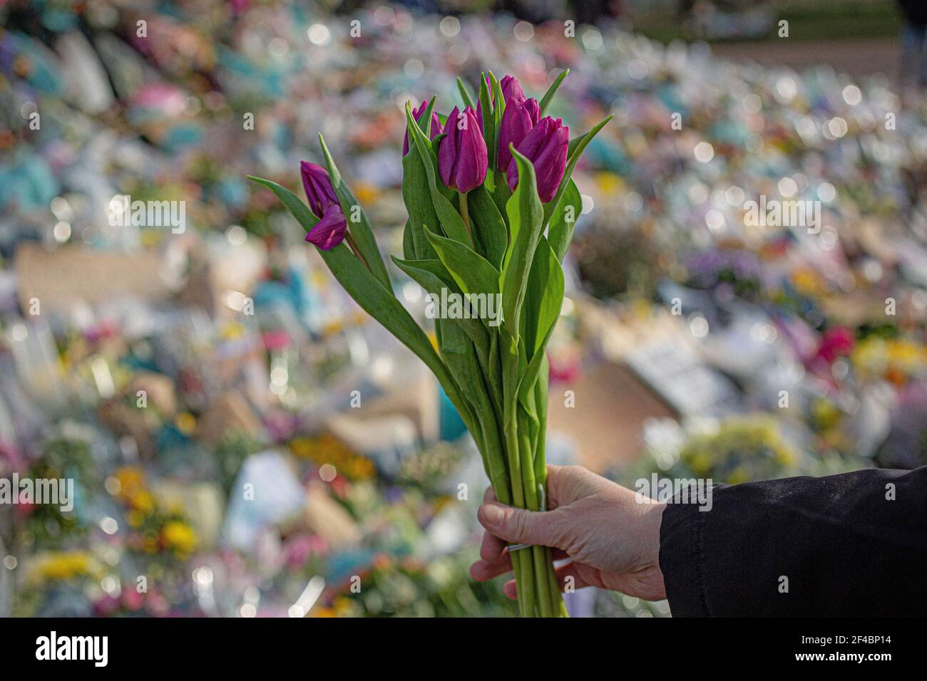 LONDRES, ANGLETERRE - MARS 19: Un membre du public porte des hommages floraux pour Sarah Everard au kiosque sur Clapham Common le 19 2021 mars à Londres Banque D'Images