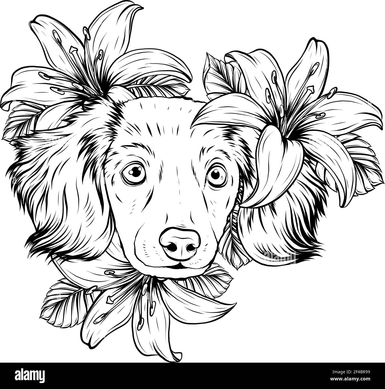 Dessinez en noir et blanc le portrait d'un chien d'Espagne dans une couronne à fleurs. Illustration vectorielle. Illustration de Vecteur