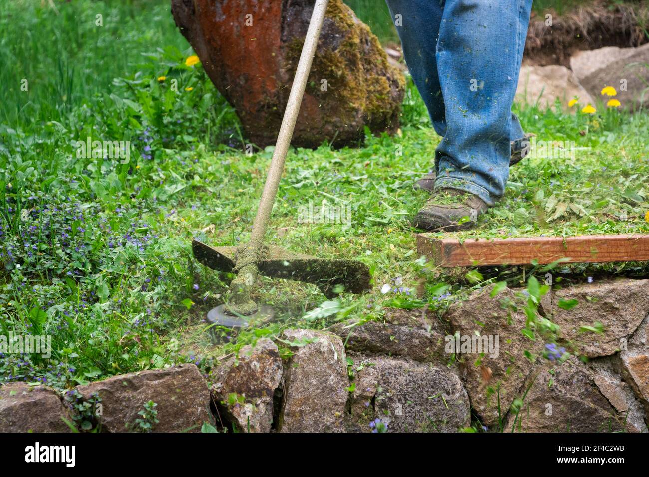 Le jardinier tond de l'herbe à l'aide d'une débroussailleuse dans le jardin  près du mur de pierre. Coupe de l'herbe au printemps Photo Stock - Alamy