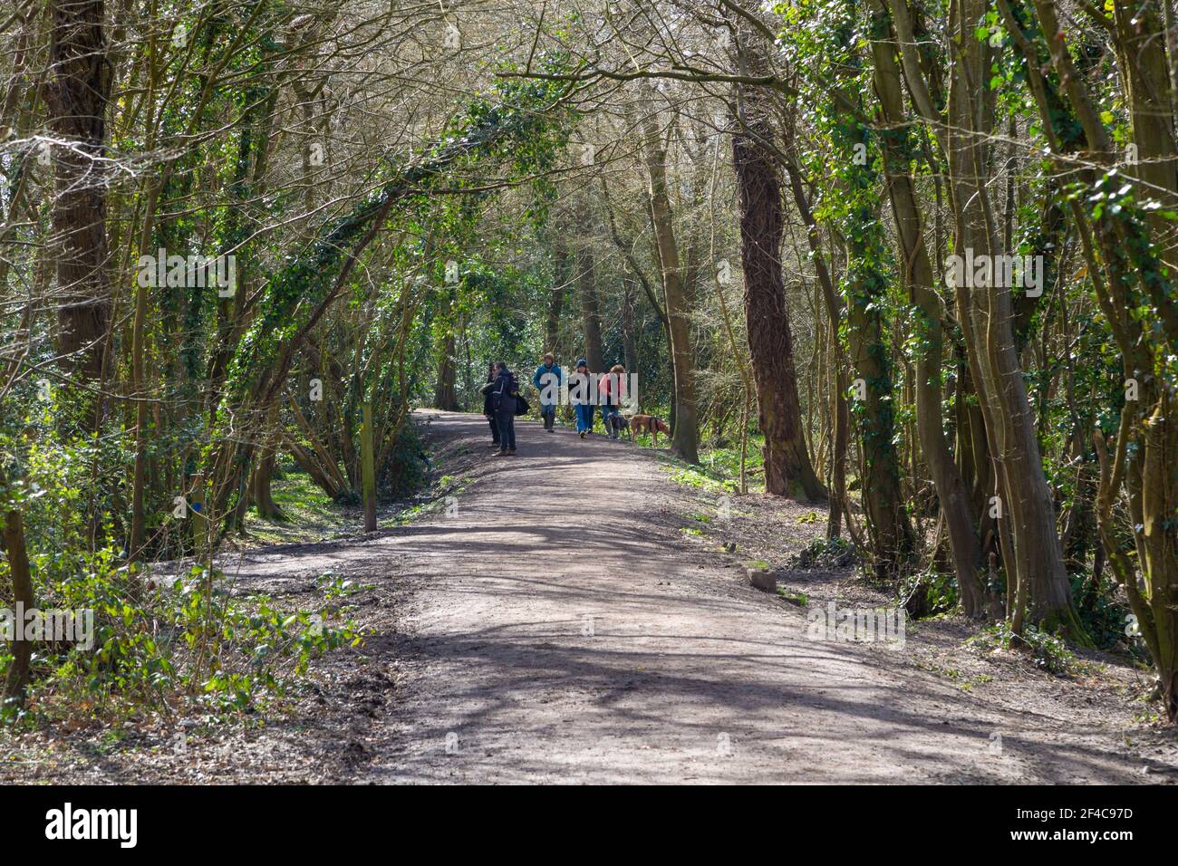 Ashford, Kent, Royaume-Uni. 20 mars 2021. Météo au Royaume-Uni : agréable soleil le samedi après-midi tandis que les familles se promènaient dans les forêts anciennes de la réserve naturelle nationale de Hamstreet Woods, à la périphérie d'Ashford dans le Kent. Crédit photo : Paul Lawrenson/Alay Live News Banque D'Images