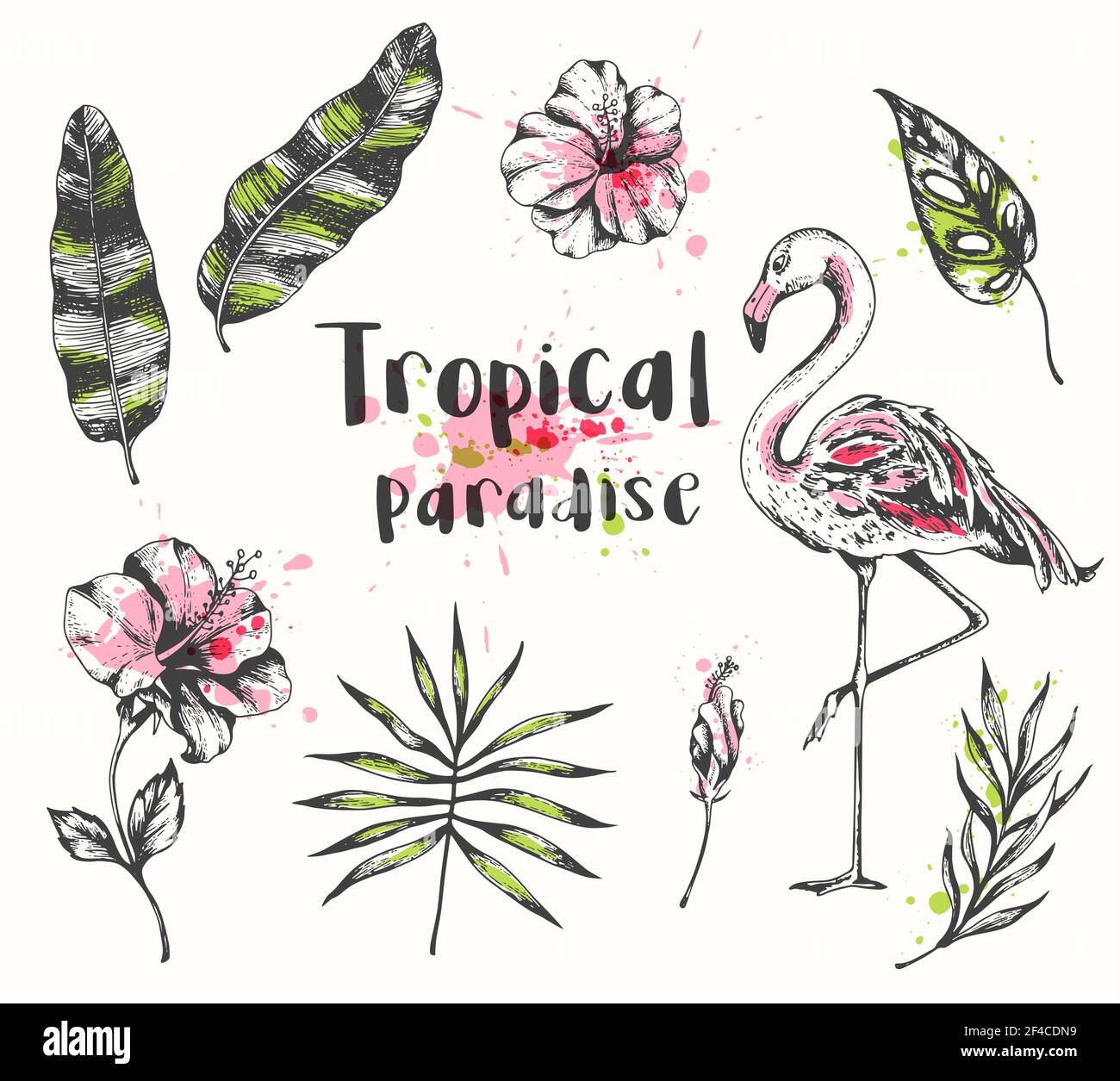 Ensemble de vecteurs dessinés à la main éléments de design tropical d'été. Rose flamant, feuilles de palmier et de banane. Flamants roses, feuilles de palmier et de banane. Illustration de Vecteur