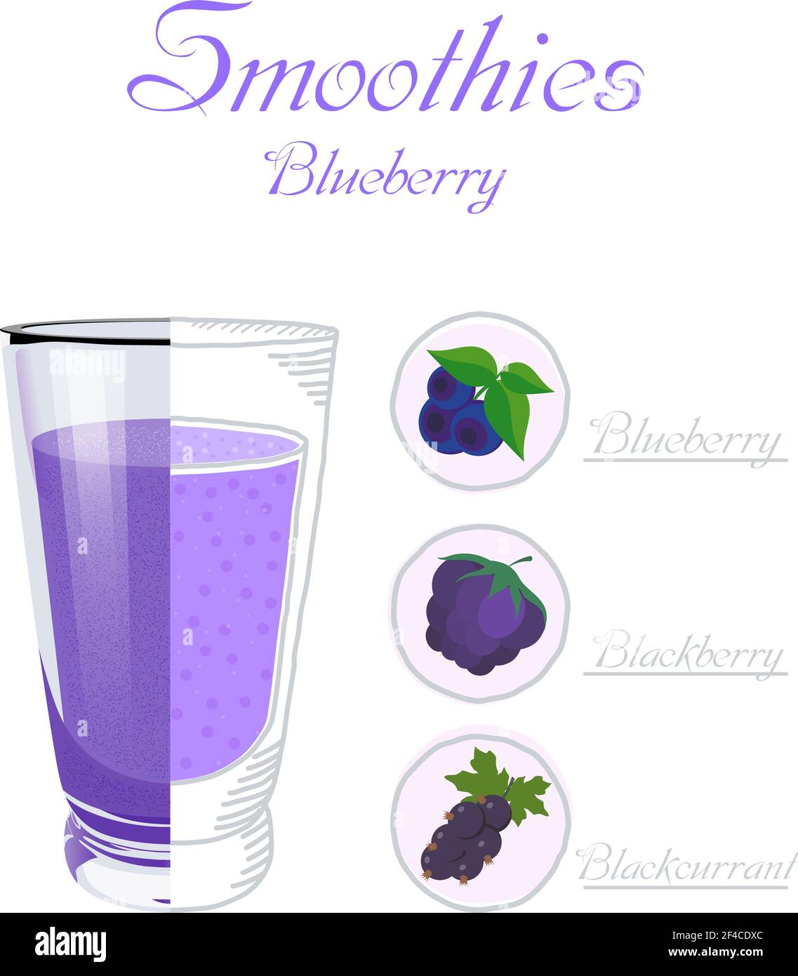 Illustration vectorielle d'un smoothie en verre avec des bleuets, des mûres, des cassis. Une alimentation saine. Boisson végétalienne. Un petit déjeuner sain Illustration de Vecteur