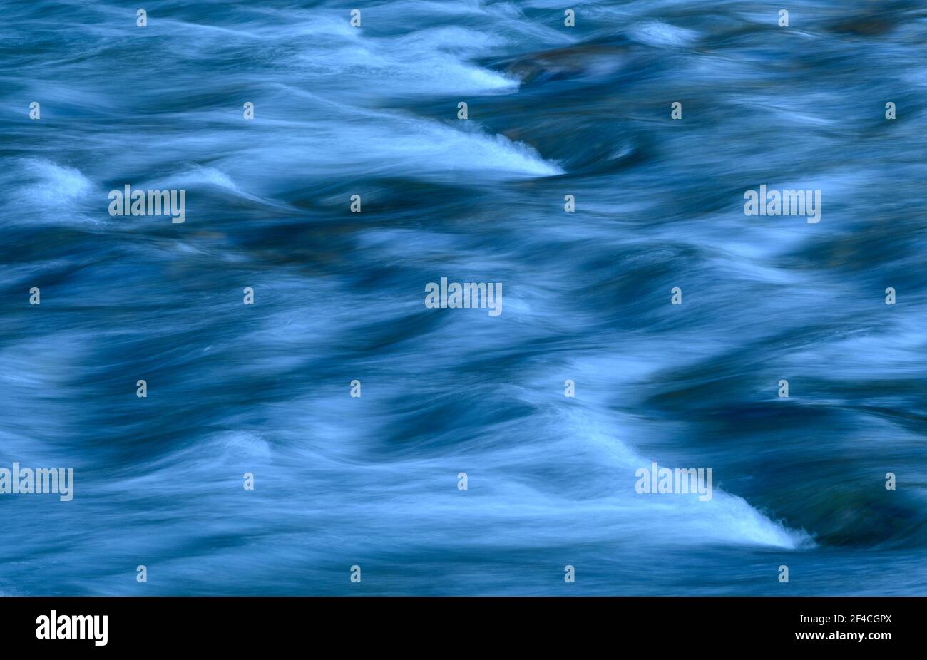 Fall Creek, Willamette National Forest, Cascade Mountains, Oregon. Banque D'Images