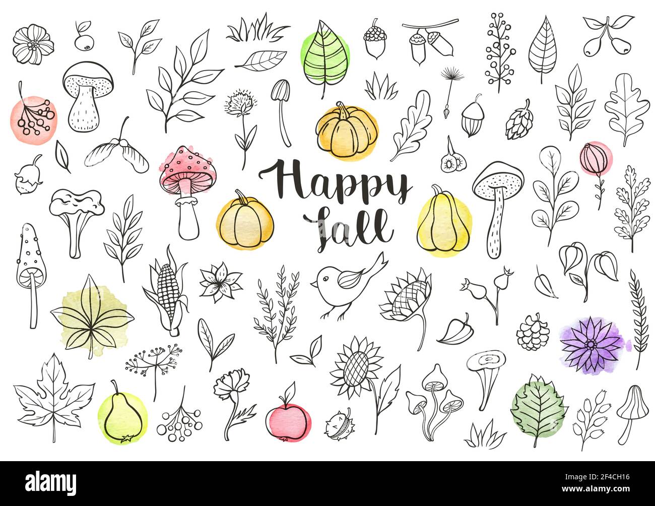 Éléments de conception vecteur doodle d'automne. Fleurs à la main, les feuilles, les champignons et les citrouilles sur un fond blanc Illustration de Vecteur