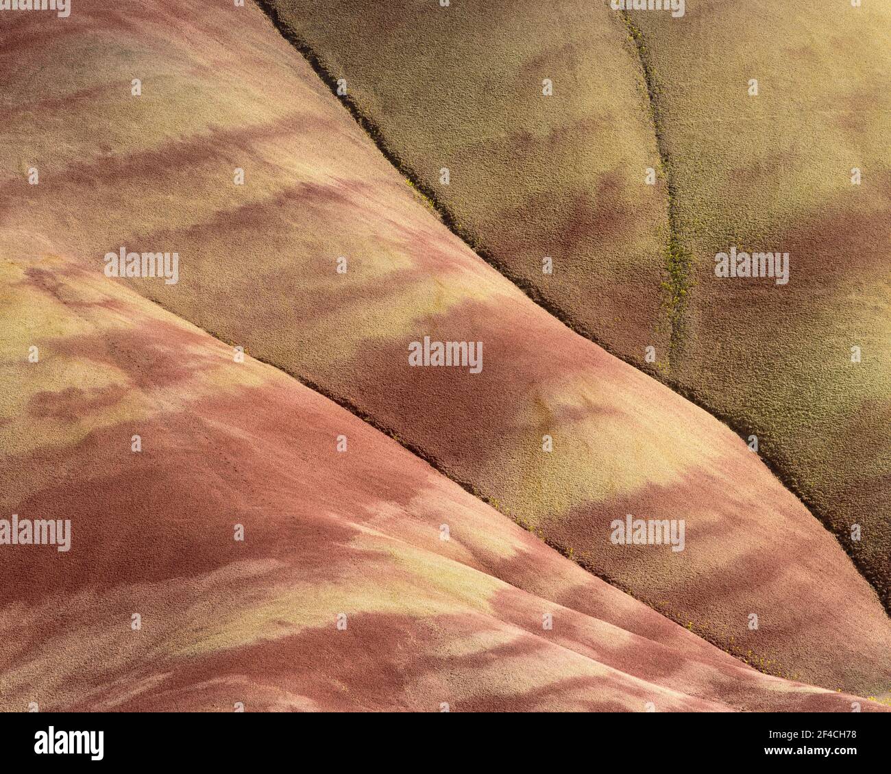 Painted Hills of John Day Fossil Beds National Monument dans l'est de l'Oregon. Banque D'Images