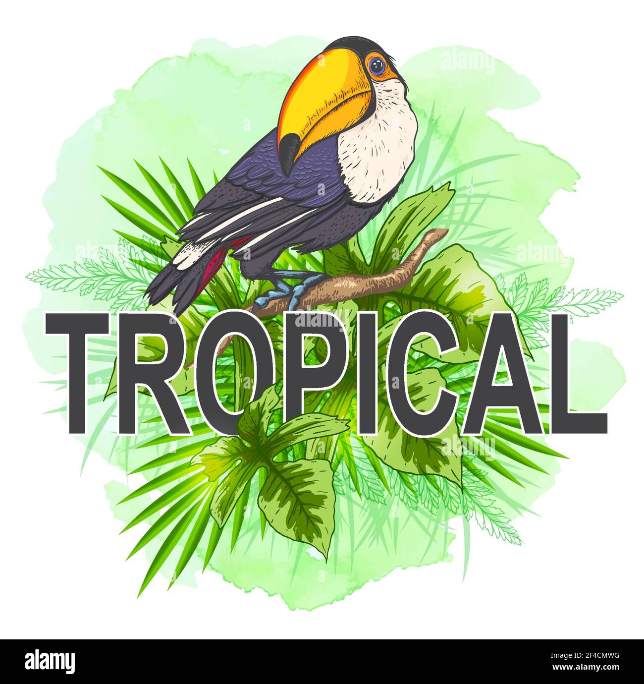 Tropical d'été contexte avec les feuilles de palmier, oiseau toucan vert et la texture aquarelle. Hand drawn vector illustration Illustration de Vecteur