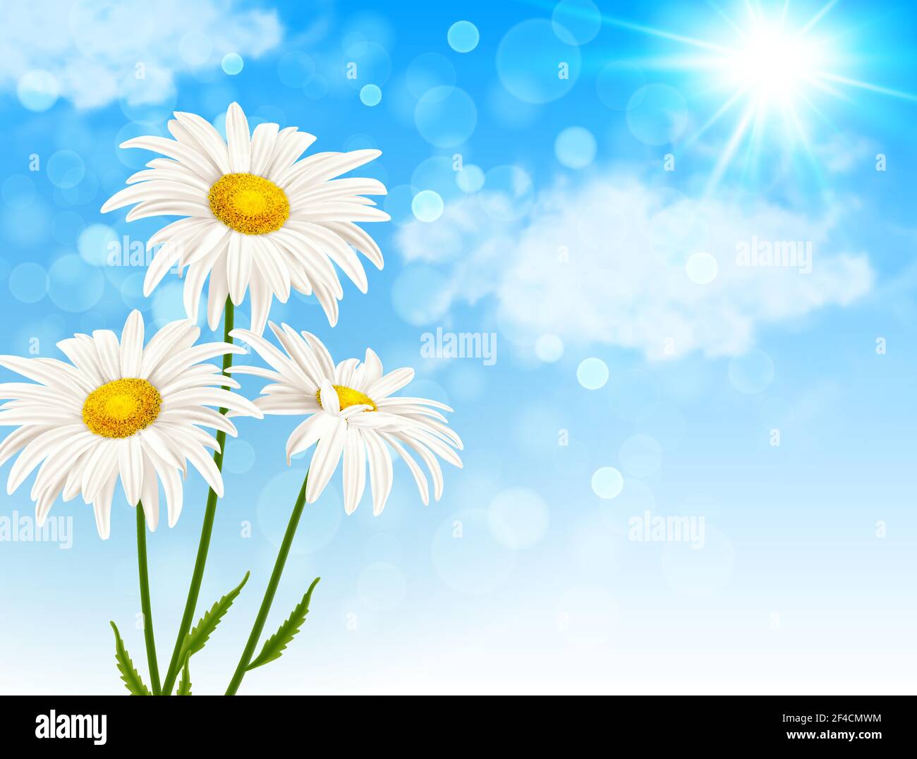 Marguerite blanche fleurs et nuages sur un fond de ciel bleu. Spring floral background. Vector illustration. Illustration de Vecteur