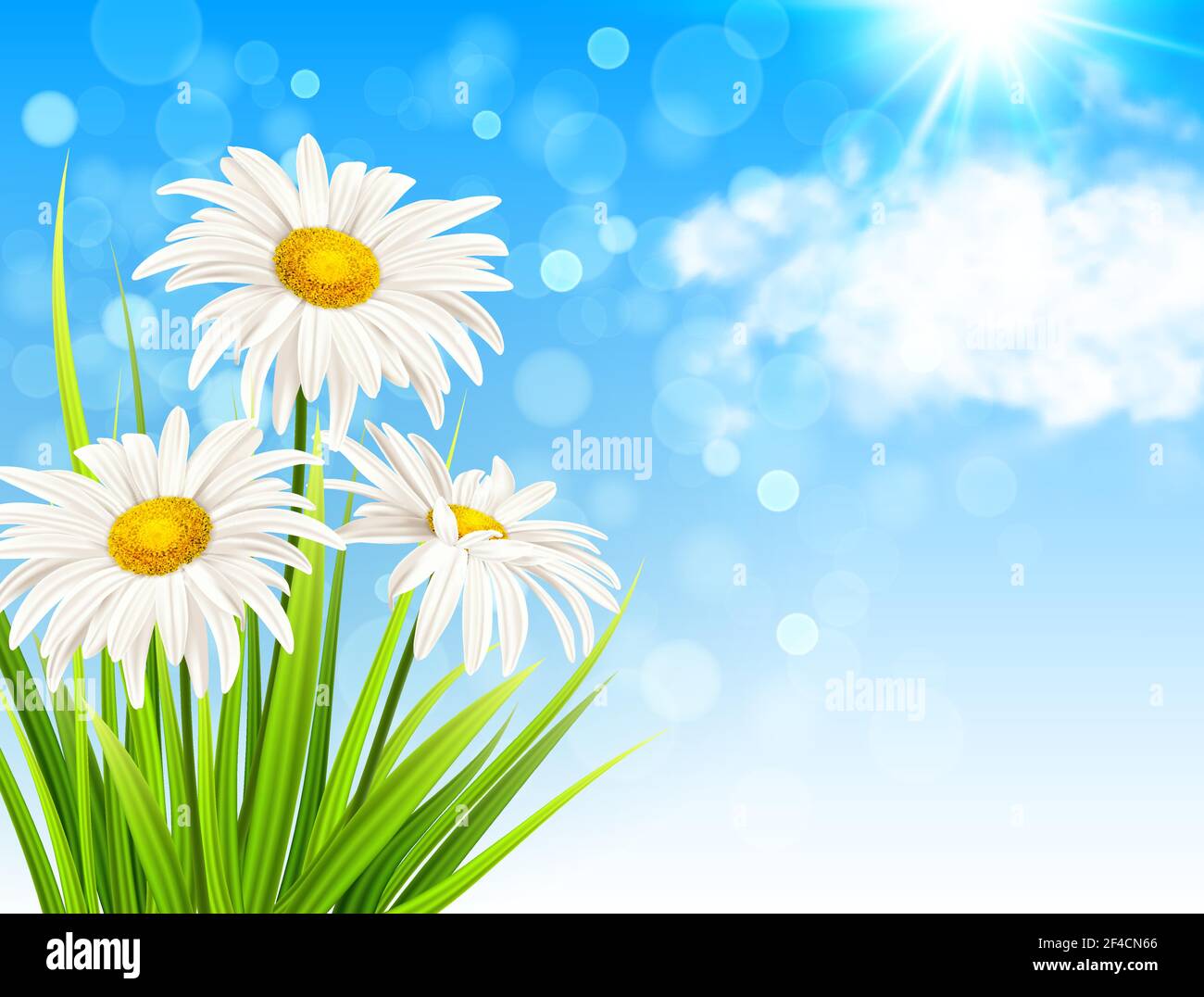 Marguerite blanche fleurs, l'herbe verte et des nuages sur un fond de ciel bleu. Spring floral background. Vector illustration. Illustration de Vecteur