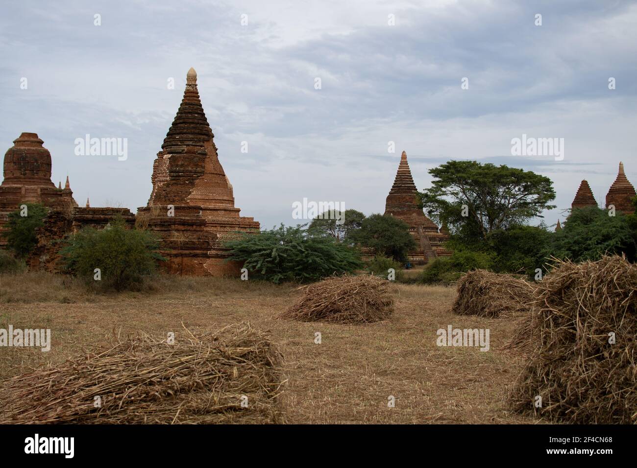 BAGAN, NYAUNG-U, MYANMAR - 3 JANVIER 2020 : plusieurs pagodes anciennes et historiques de temple à la distance d'un champ d'herbe sec ouvert avec des piles de foin Banque D'Images