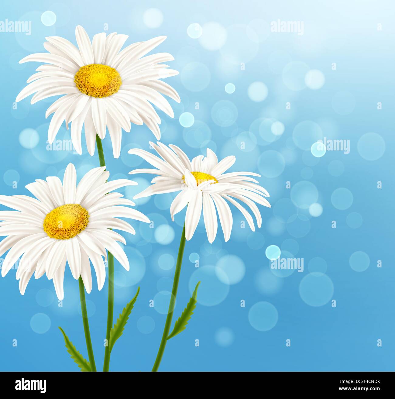 Marguerite blanche fleurs sur un fond de ciel bleu. Spring floral background. Vector illustration. Illustration de Vecteur