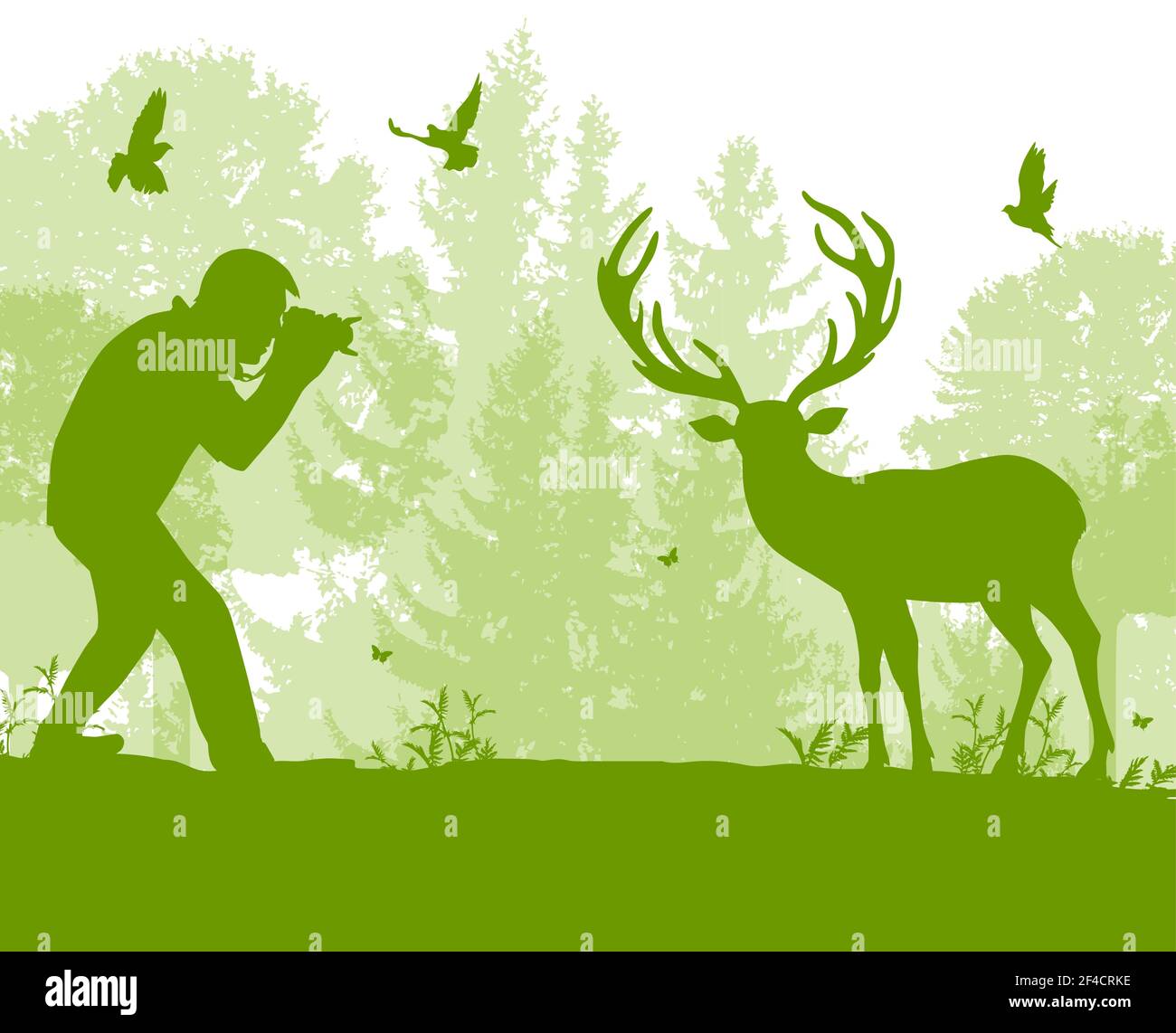 L'homme photos un chevreuil dans la forêt. La protection de la faune et de l'écologie concept. Vector illustration Illustration de Vecteur