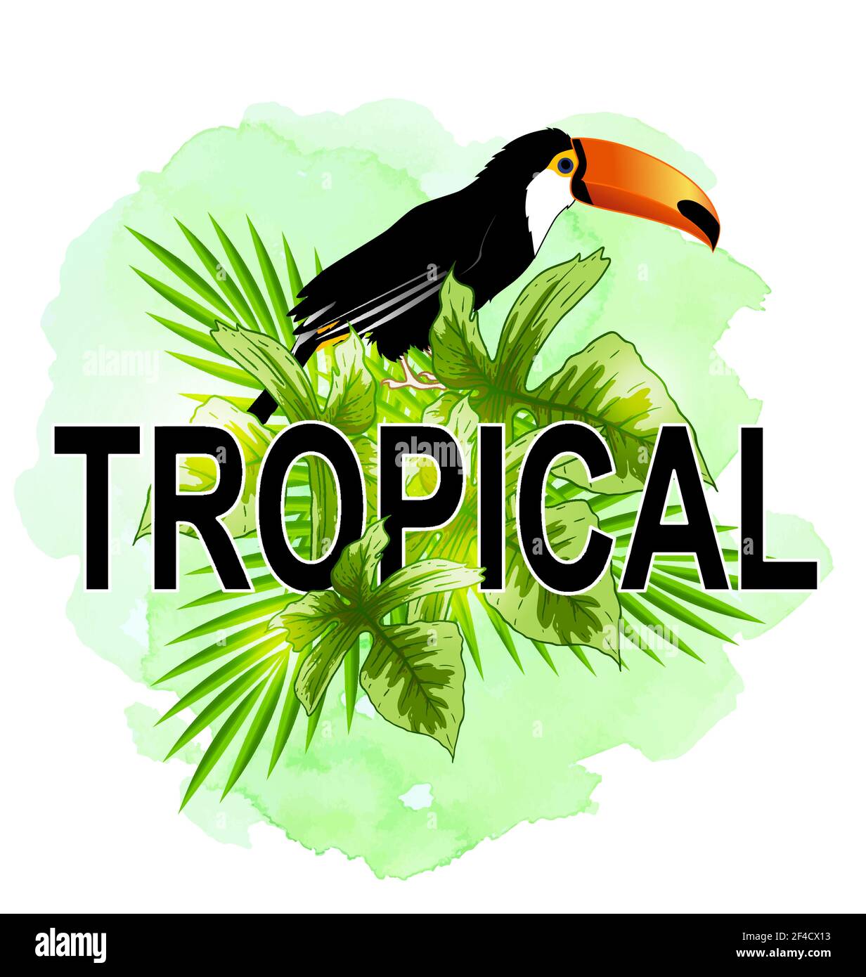 Fond vert tropical d'été avec des feuilles de palmier, oiseau toucan vert et la texture aquarelle. Vector illustration Illustration de Vecteur
