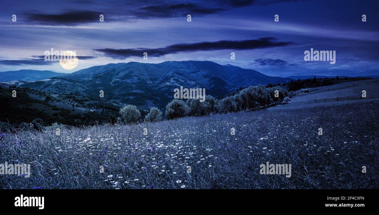 paysage rural avec prairie en fleurs au coucher du soleil. magnifique paysage de la nature des montagnes des carpates dans la lumière du soir. nuages moelleux sur la sk bleue Banque D'Images paysage rural avec prairie en fleurs au coucher du soleil. magnifique paysage de la nature des montagnes des carpates dans la lumière du soir. nuages moelleux sur la sk bleue Banque D'Images