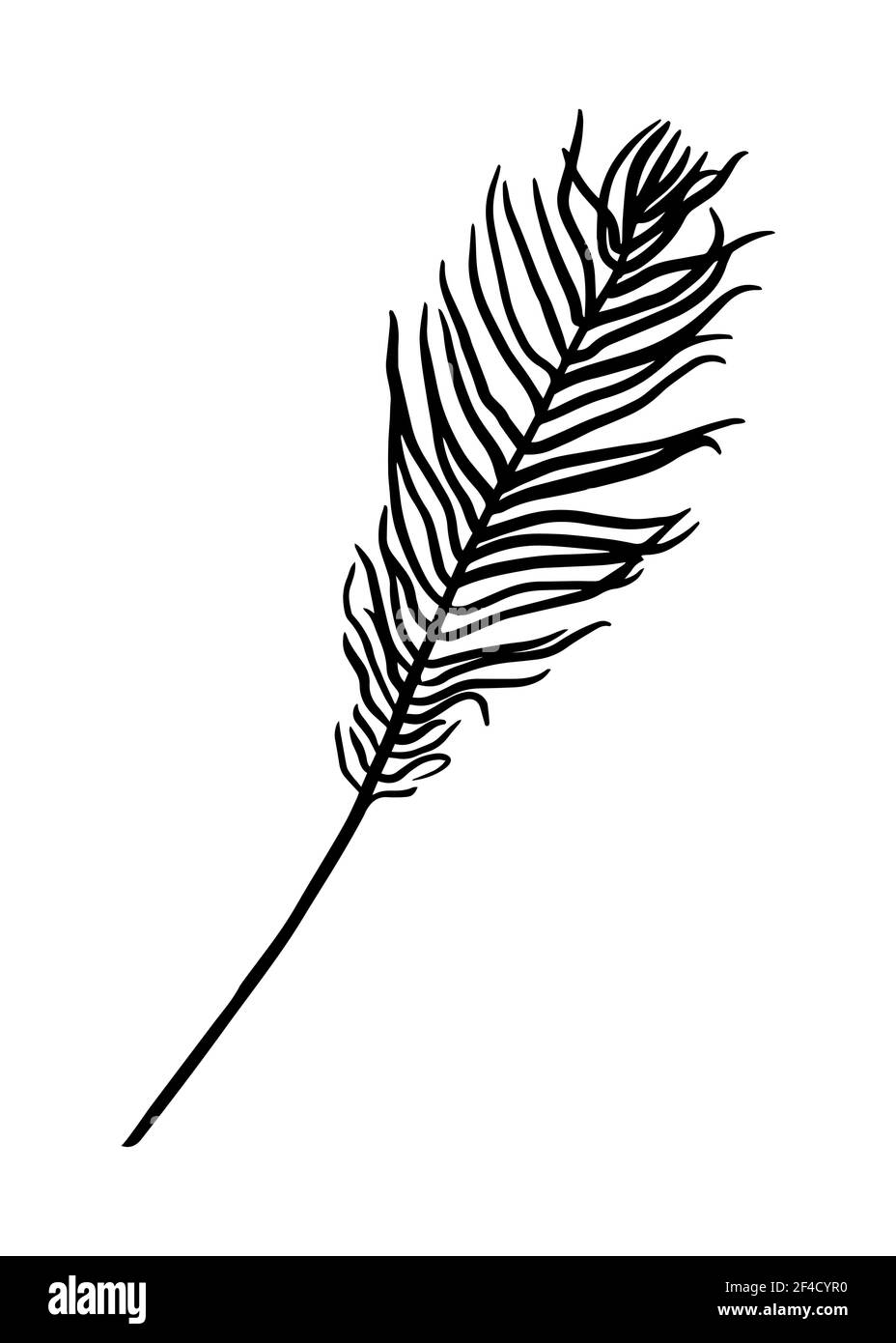 Feuille de fougères isolée sur fond blanc. Tracé de contour à la main. Style Doodle Illustration de Vecteur Feuille de fougères isolée sur fond blanc. Tracé de contour à la main. Style Doodle Illustration de Vecteur