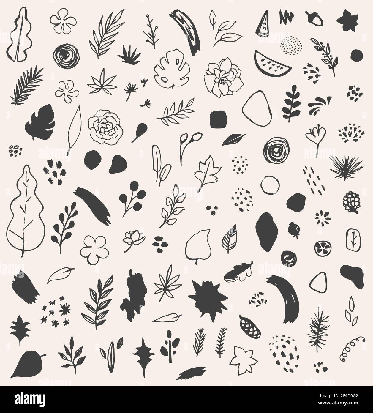 Ensemble de vecteur dessiné à la main abstrait saisonnier botanique et naturel gribouillages Illustration de Vecteur