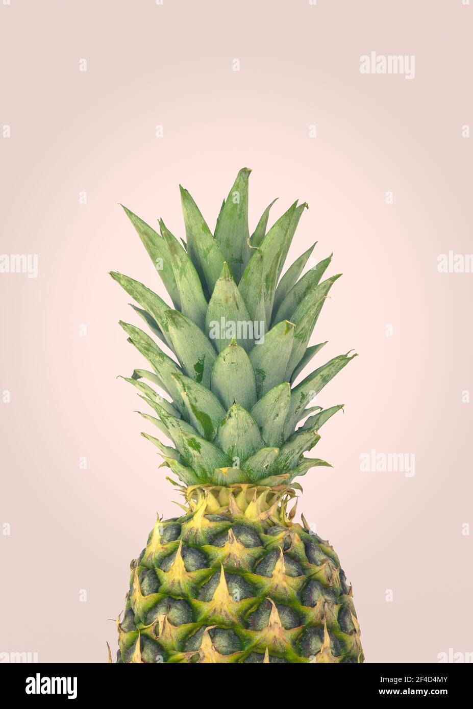 Une ananas biologique frais sur FOND rose pastel Banque D'Images