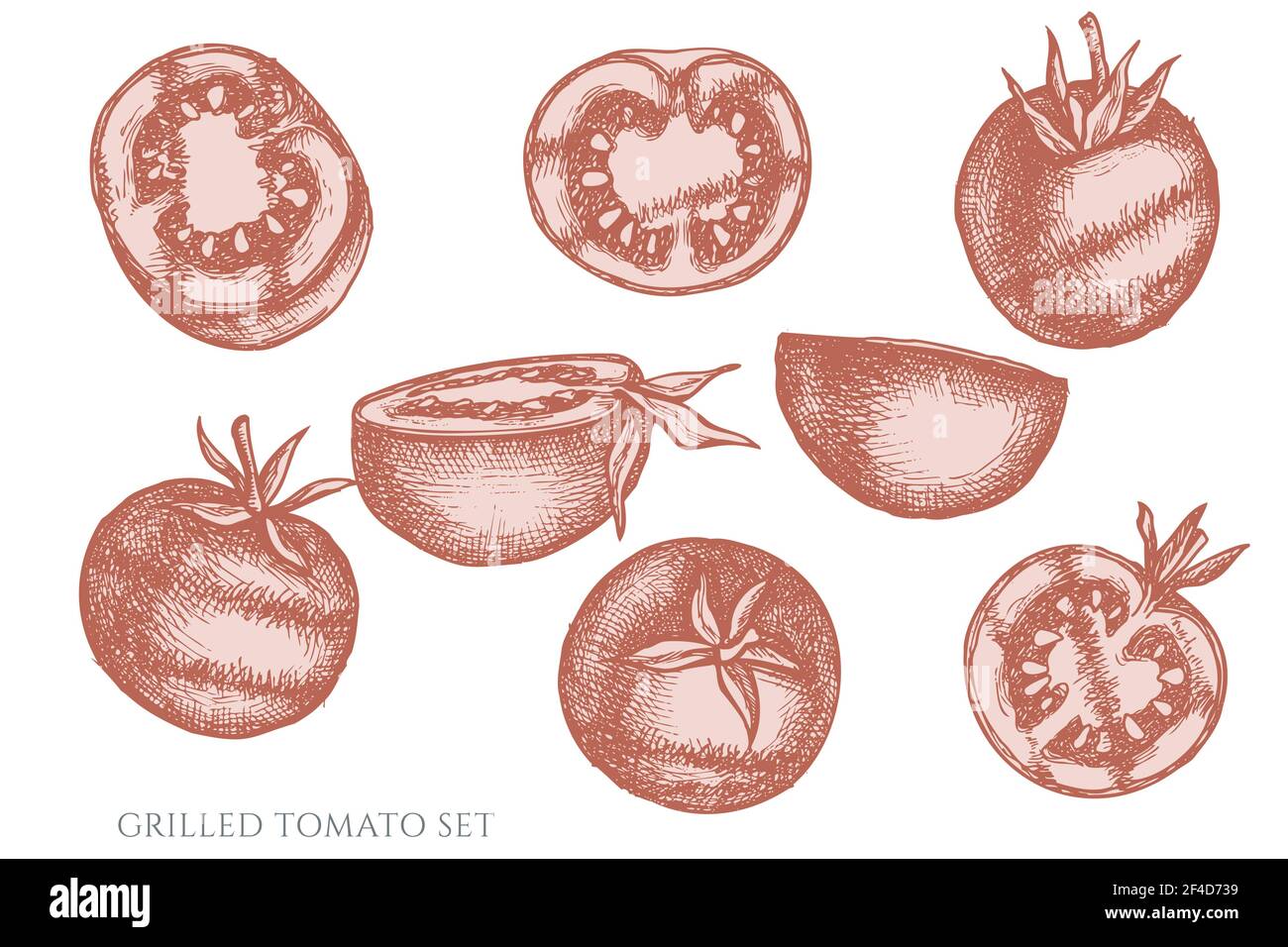 Ensemble vectoriel de tomates grillées pastel dessinées à la main Illustration de Vecteur