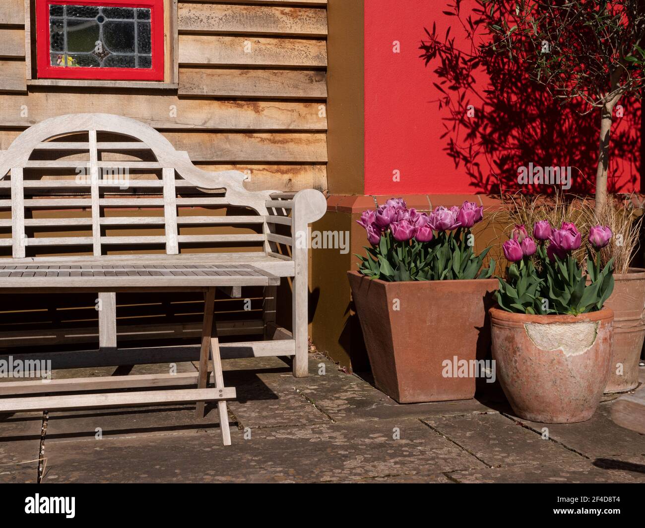 Salon ensoleillé dans le jardin avec banc en bois de Lutyens et la table contre un mur revêtu de bois et peint en rouge avec tulipes fleuries dans des pots de terracota Banque D'Images