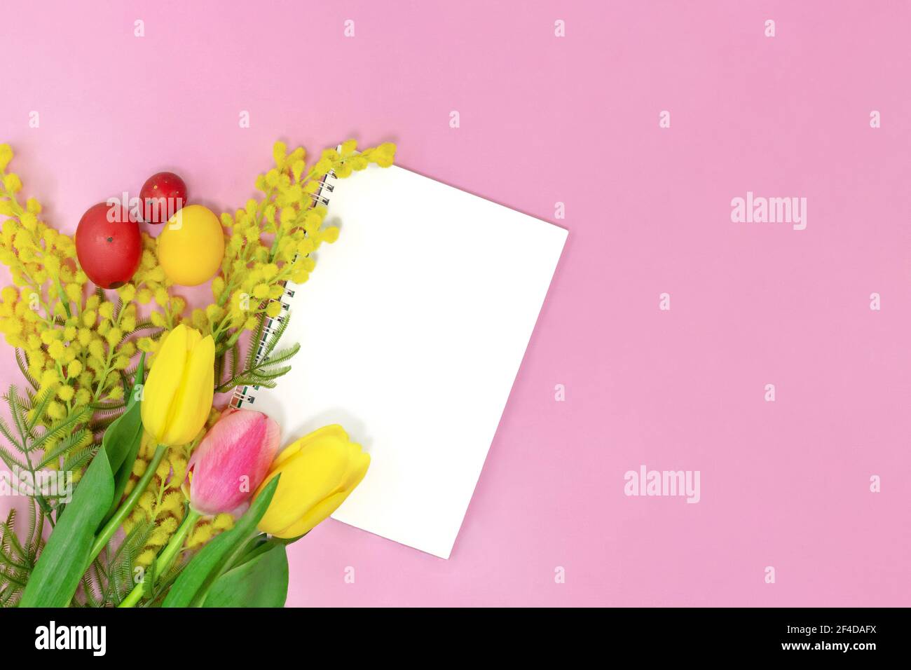 Bouquet de fleurs, tulipes et mimosa jaune avec feuille de papier vierge pour le texte sur fond rose avec oeufs colorés. Arrière-plan de Pâques. Copier l'espace Banque D'Images