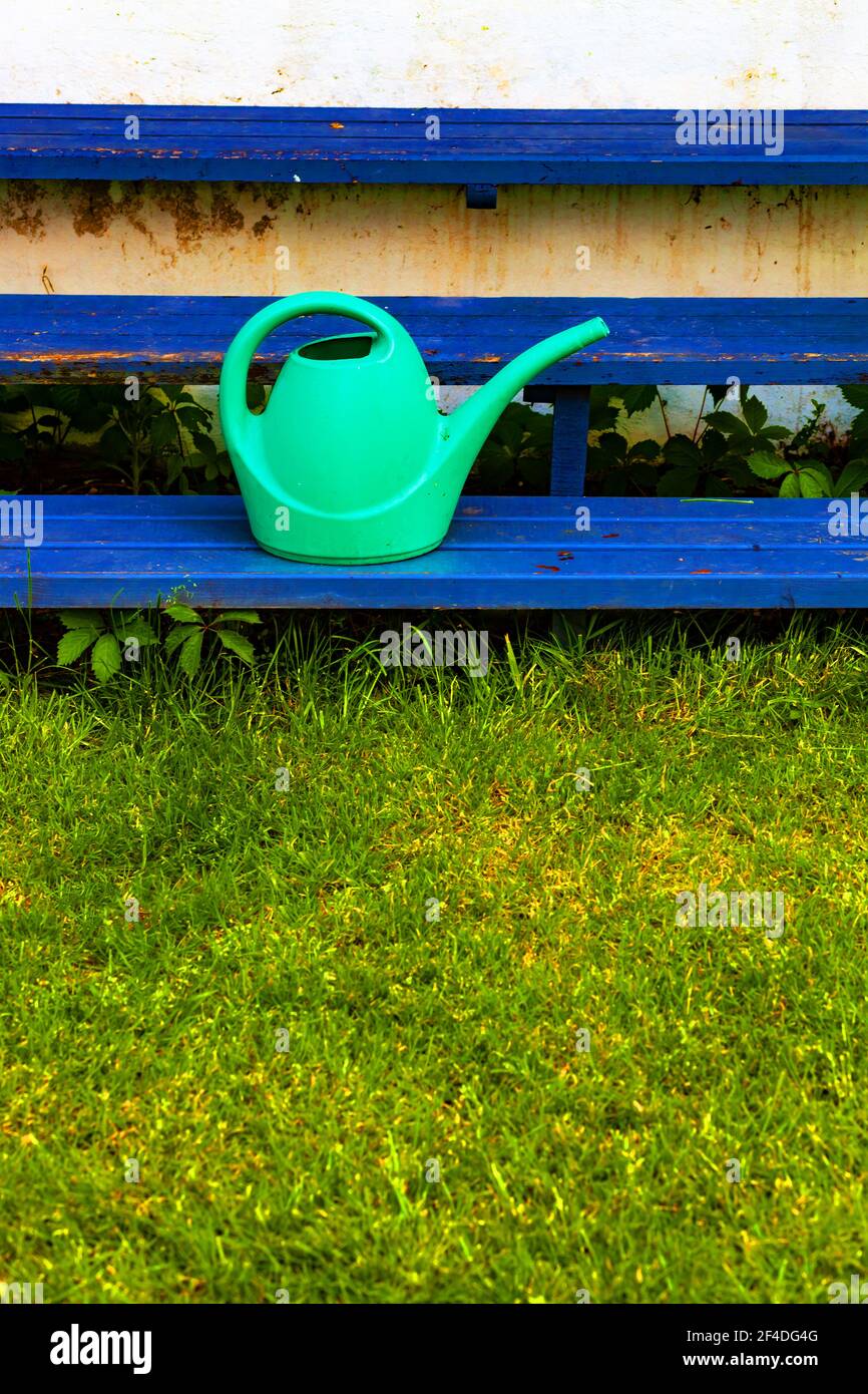 Arrosoir vert sur marches bleues dans un jardin Banque D'Images