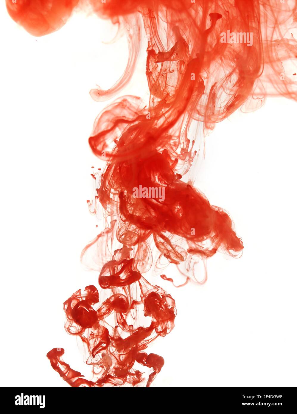 Motif abstrait tombant dans la goutte d'eau de la peinture rouge encre sur un blanc Banque D'Images