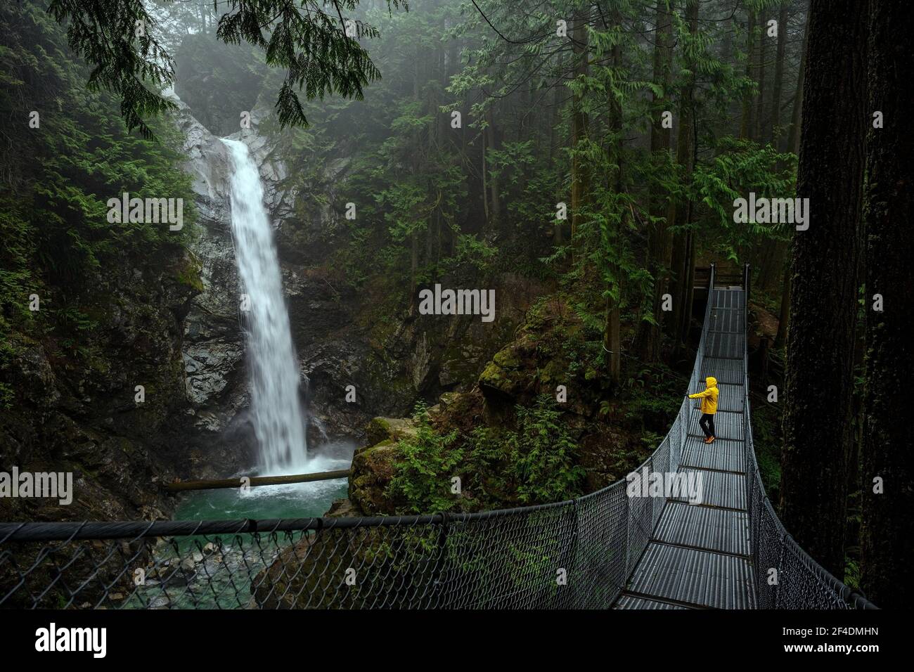 Femme en blouson de pluie jaune debout sur un pont suspendu et observant les chutes de Cascade, dans le parc régional de Cascade Falls, Deroche, Colombie-Britannique, Banque D'Images