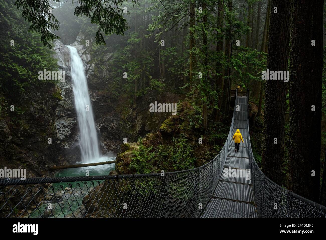 Femme en blouson de pluie jaune debout sur un pont suspendu et observant les chutes de Cascade, dans le parc régional de Cascade Falls, Deroche, Colombie-Britannique, Banque D'Images