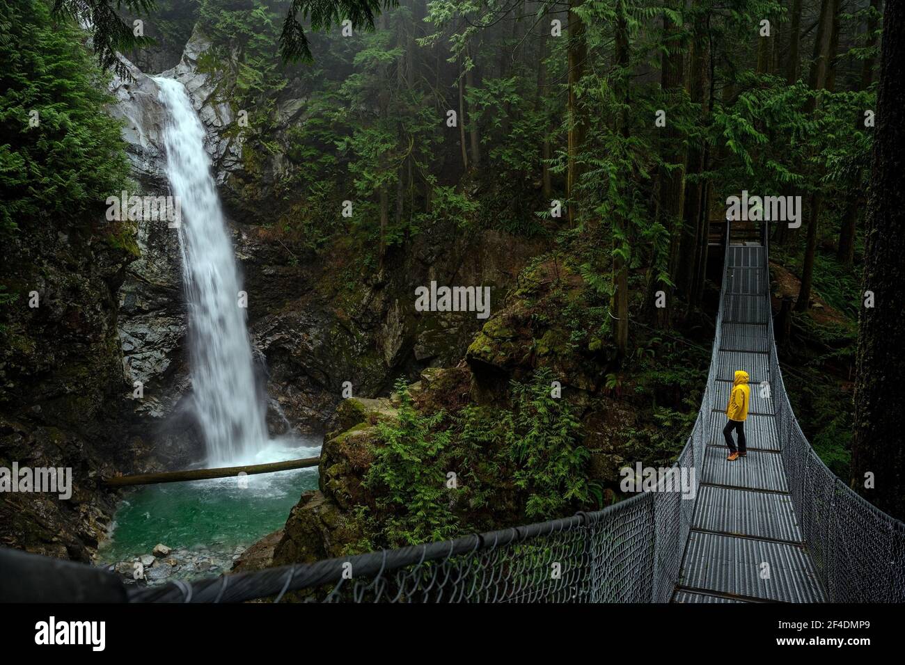 Femme en blouson de pluie jaune debout sur un pont suspendu et observant les chutes de Cascade, dans le parc régional de Cascade Falls, Deroche, Colombie-Britannique, Banque D'Images