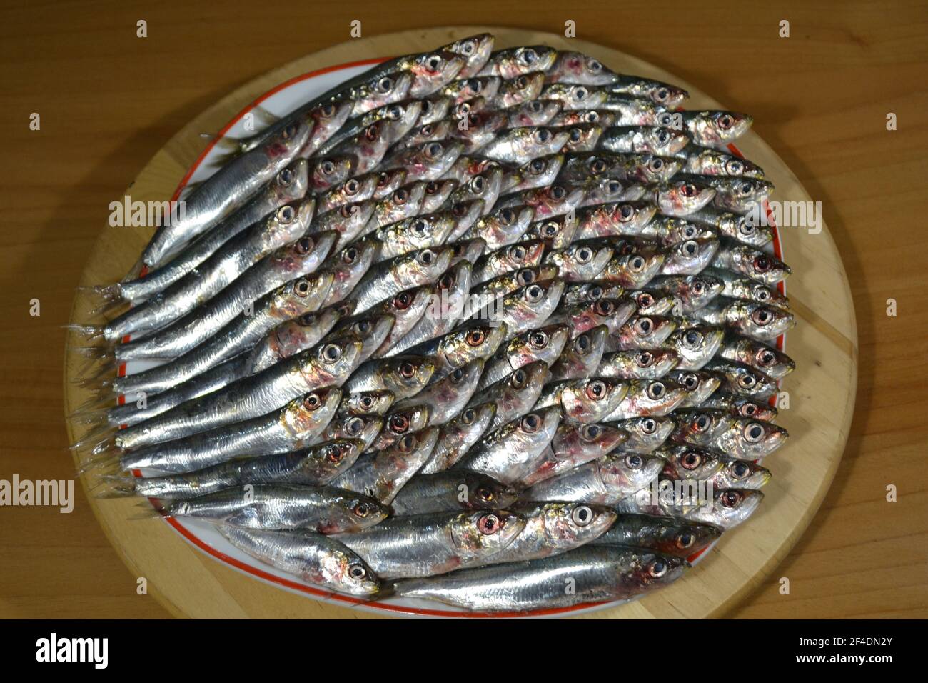 Les sardines de couleur argent frais sont disposées en rangées sur la plaque ronde en bois de la table. Banque D'Images