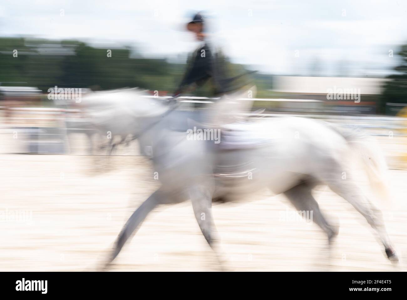 Le cheval blanc abstrait et le cavalier flous dans le mouvement transmettant la vitesse et l'action. Banque D'Images