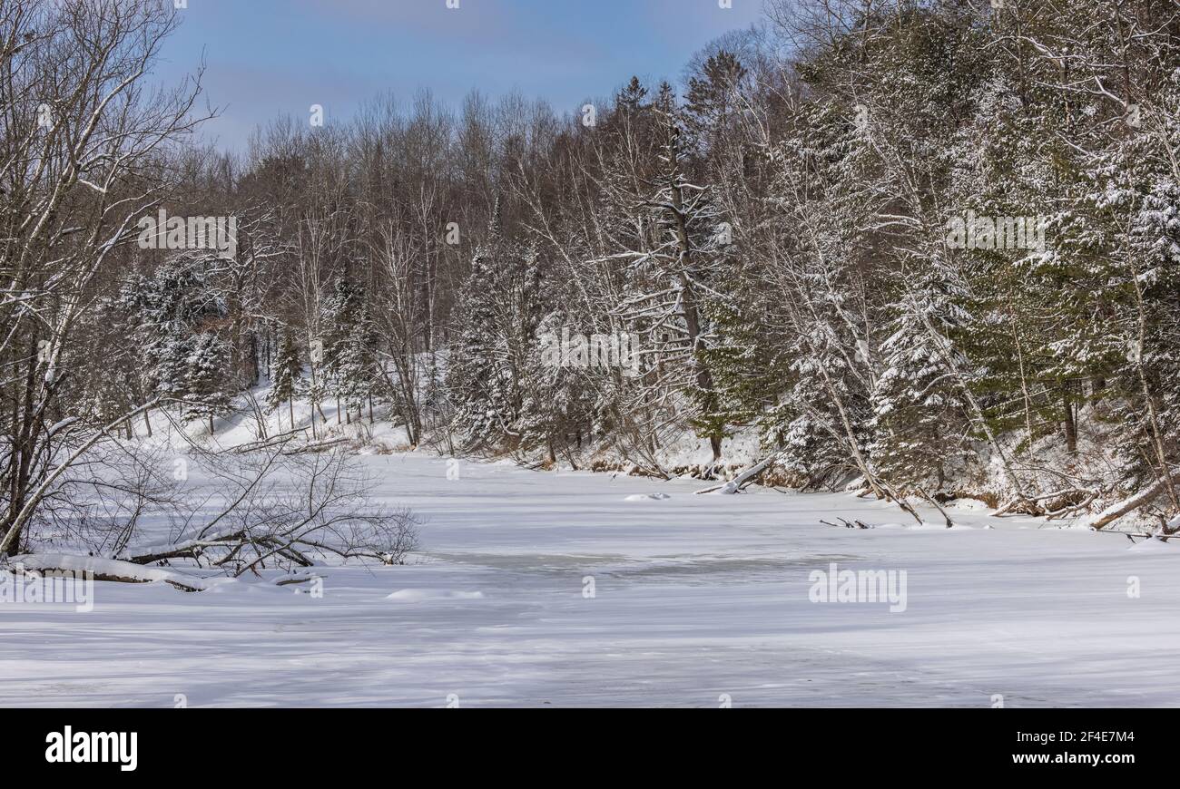 La rivière Chippewa dans le nord du Wisconsin. Remarquez l'aigle à tête blanche perché dans un museau. Banque D'Images