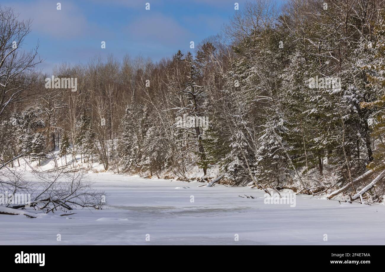 La rivière Chippewa dans le nord du Wisconsin. Remarquez l'aigle à tête blanche perché dans un museau. Banque D'Images