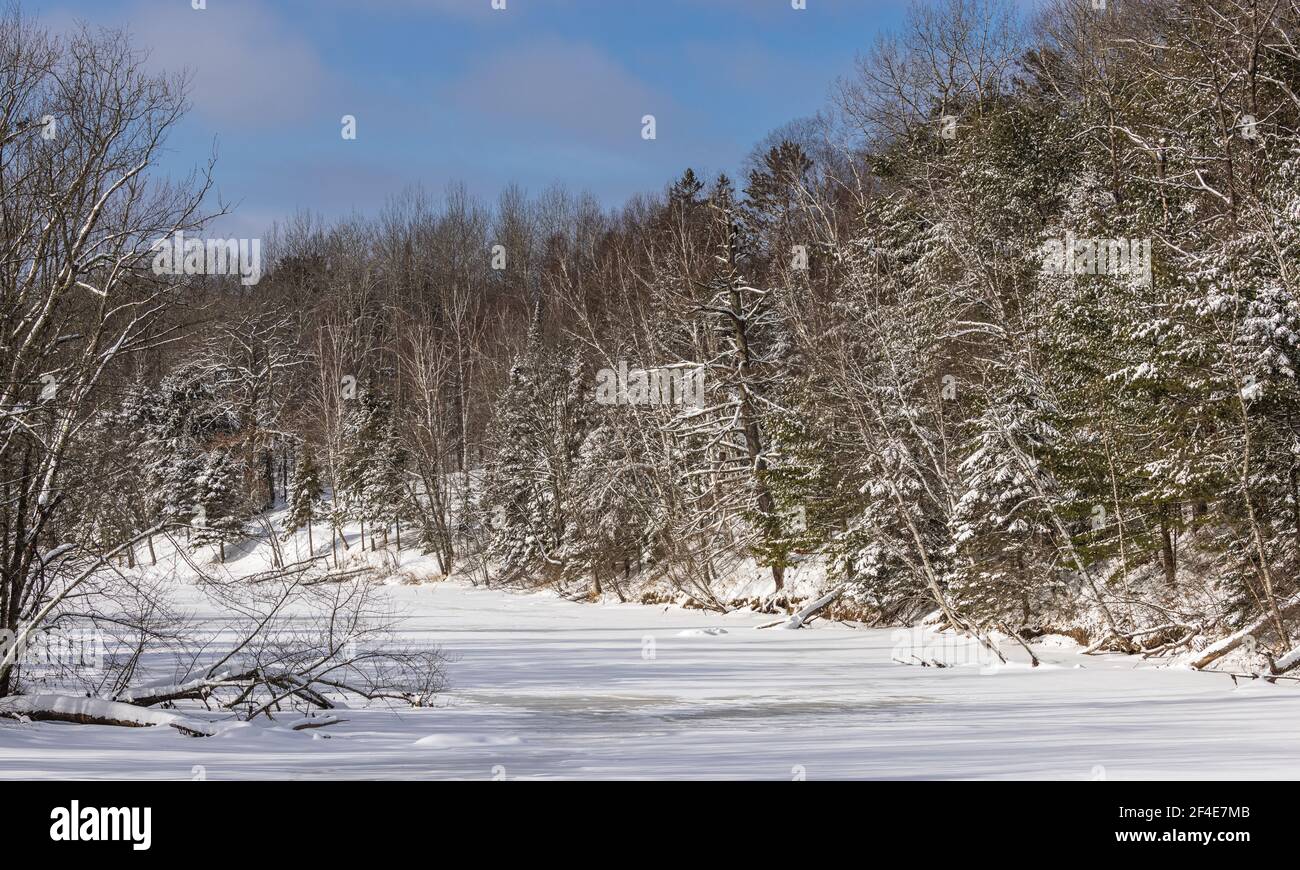 La rivière Chippewa dans le nord du Wisconsin. Remarquez l'aigle à tête blanche perché dans un museau. Banque D'Images