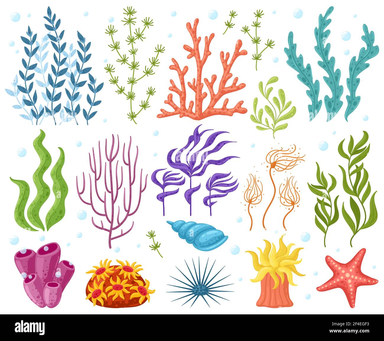 Dessins animés plantes d'océan. Anémones, coraux et algues, varech marin, plantes d'aquarium. Ensemble d'icônes illustrant le vecteur de flore sous-marine. Vue sur la mer ou sur la mer Illustration de Vecteur