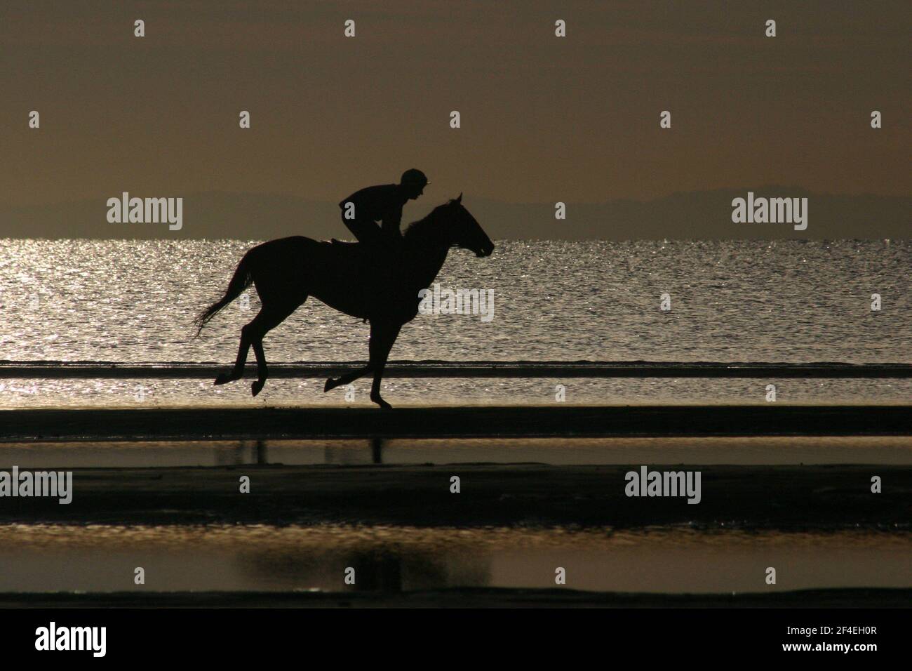 SILHOUETTE D'UN CHEVAL DE COURSE EXERÇÉ AU LEVER DU SOLEIL SUR LA PLAGE, RÉGION DE MORETON BAY, QUEENSLAND, AUSTRALIE Banque D'Images