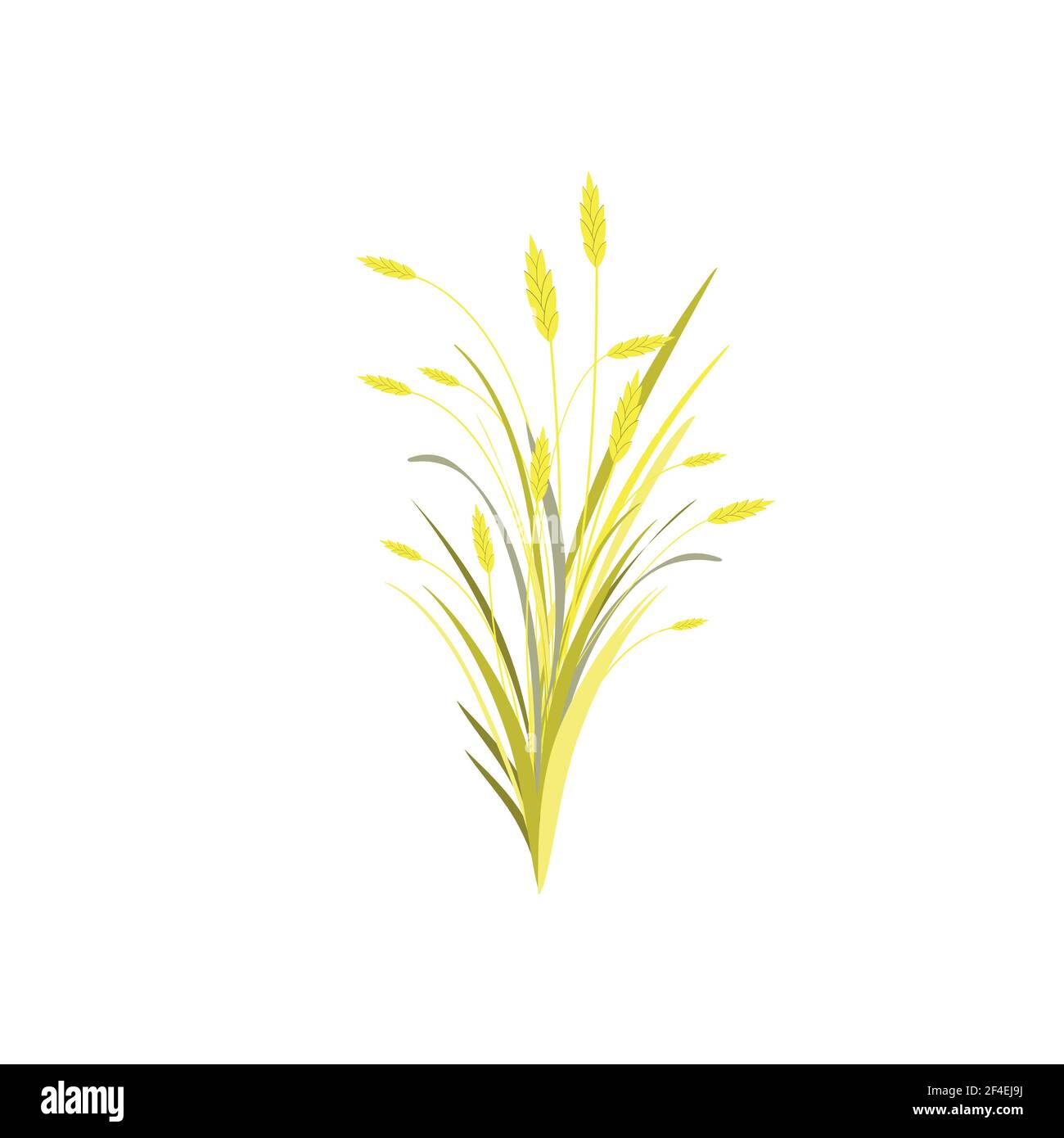 Bouquet d'automne avec des épis d'or de blé, d'orge ou de seigle et des lames d'herbe isolées sur blanc. Illustration vectorielle. Carte de récolte. Clip d'automne art Yello Illustration de Vecteur