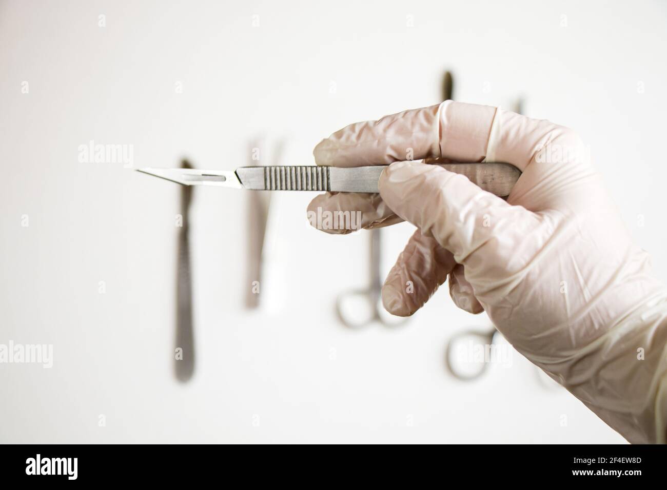 Une main de médecin avec un gant tenant un couteau chirurgical Banque D'Images