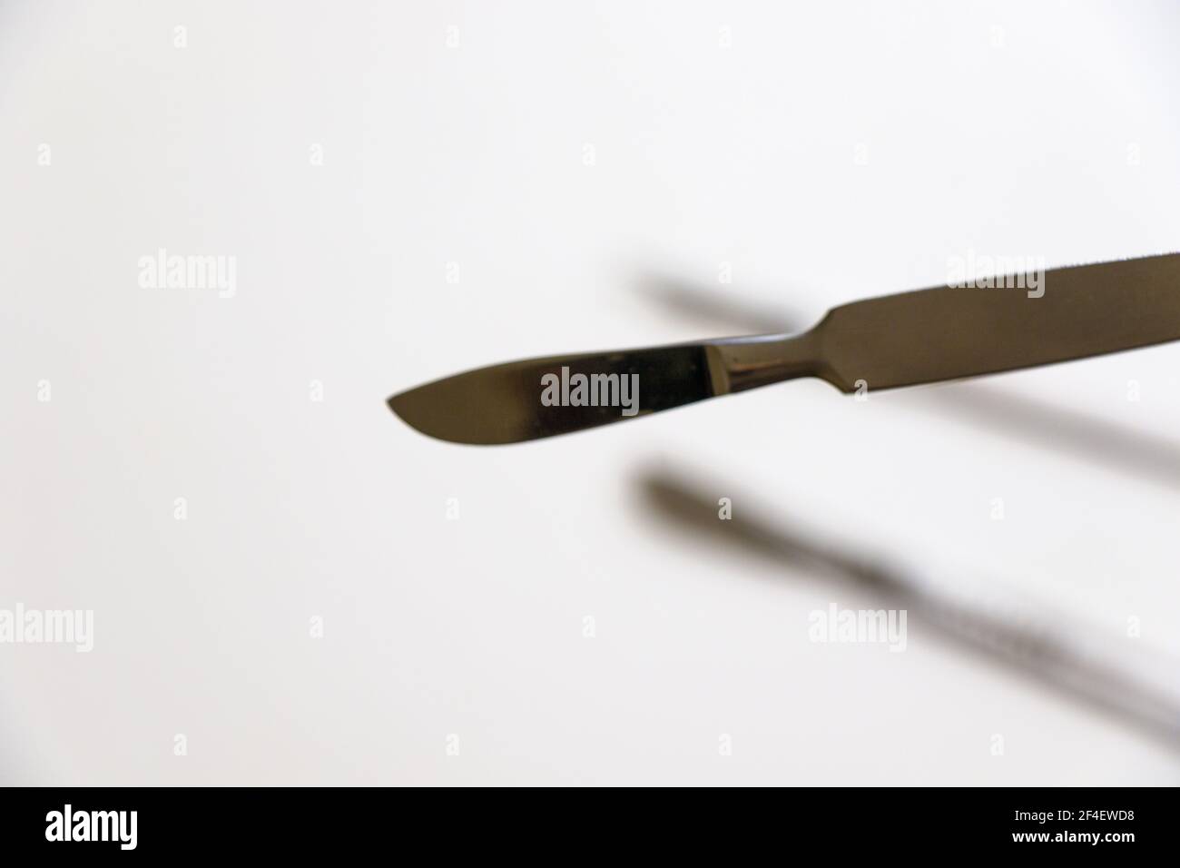 Une lame chirurgicale sur fond blanc stérile Banque D'Images