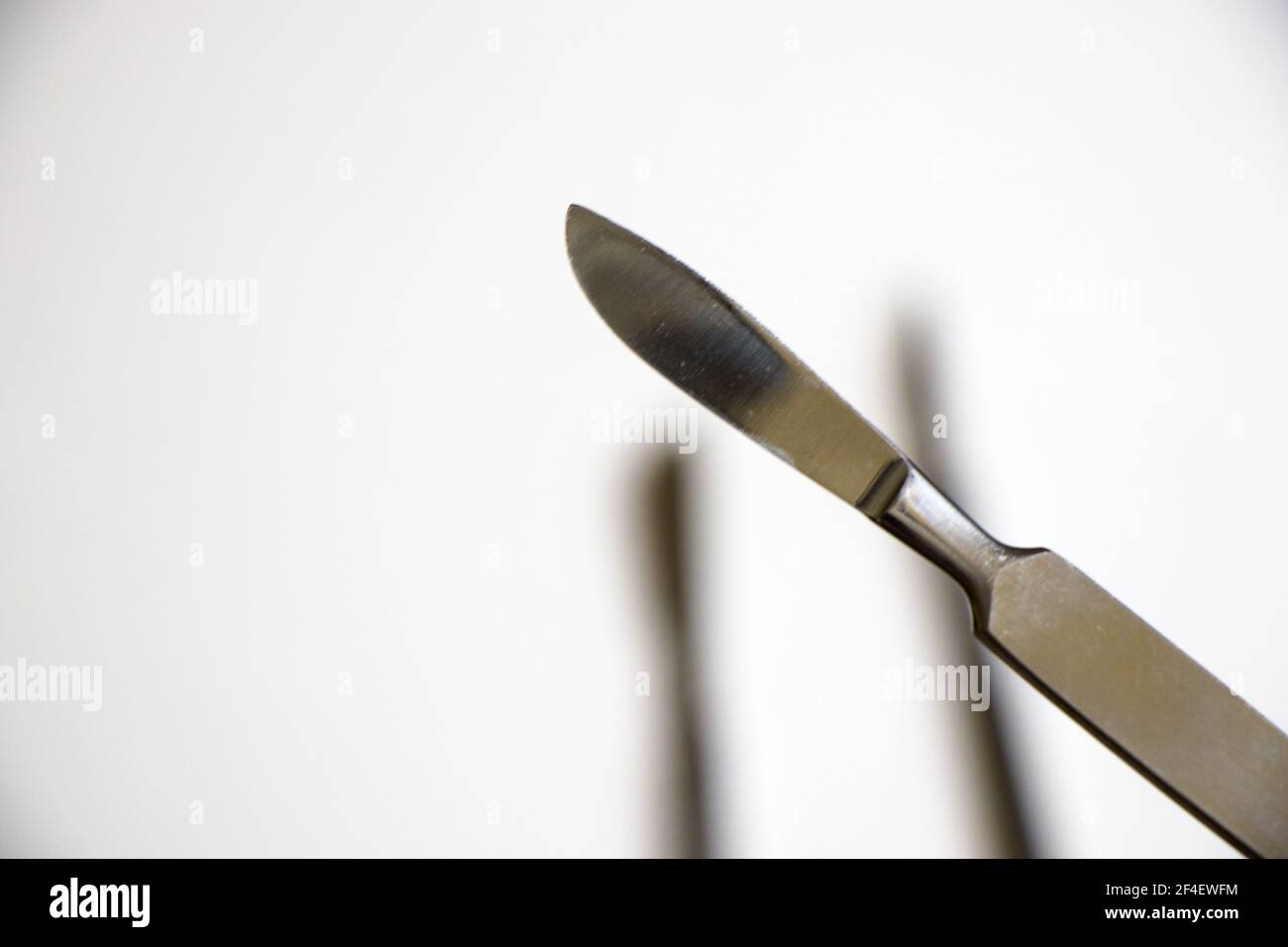 Une lame chirurgicale sur fond blanc stérile Banque D'Images